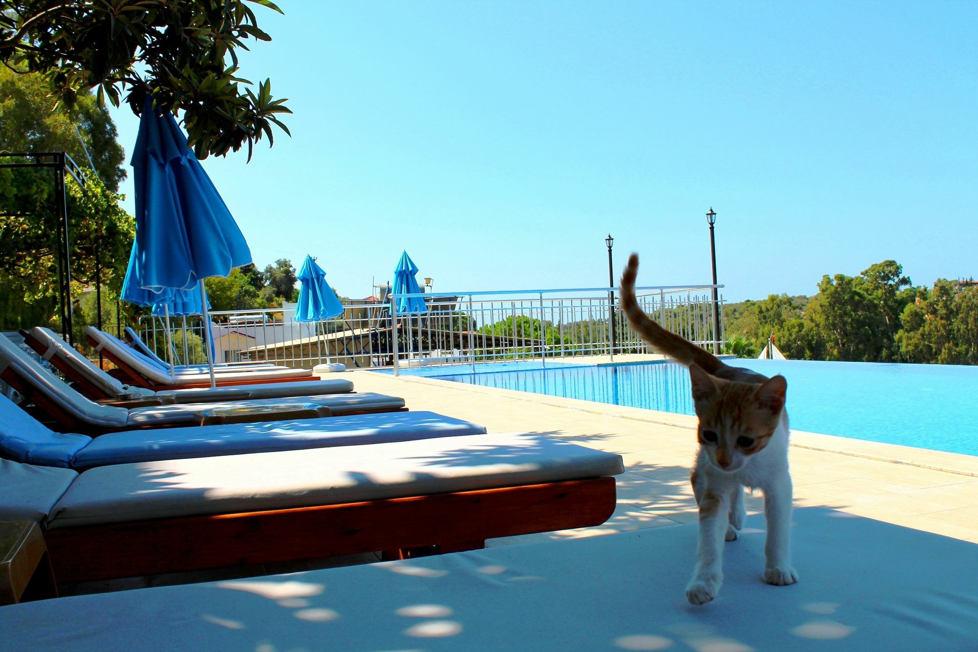 Hotel Patara Sun Club المظهر الخارجي الصورة